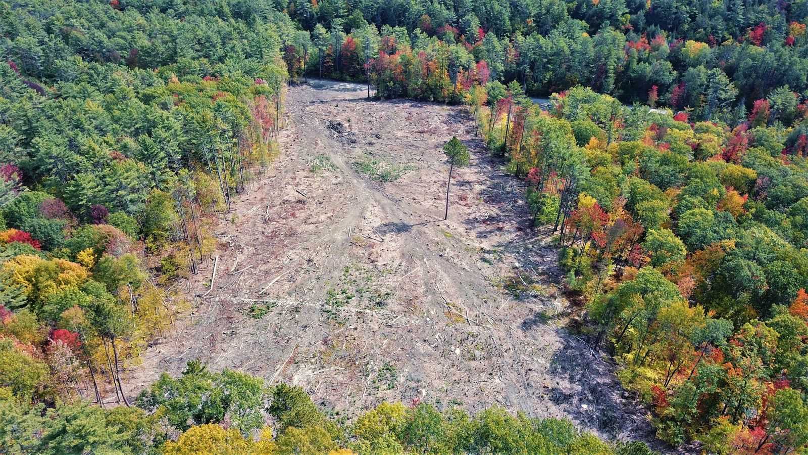 Lot 2 Perch Pond Road Lisbon, NH 03585 - Photo 3 of 12