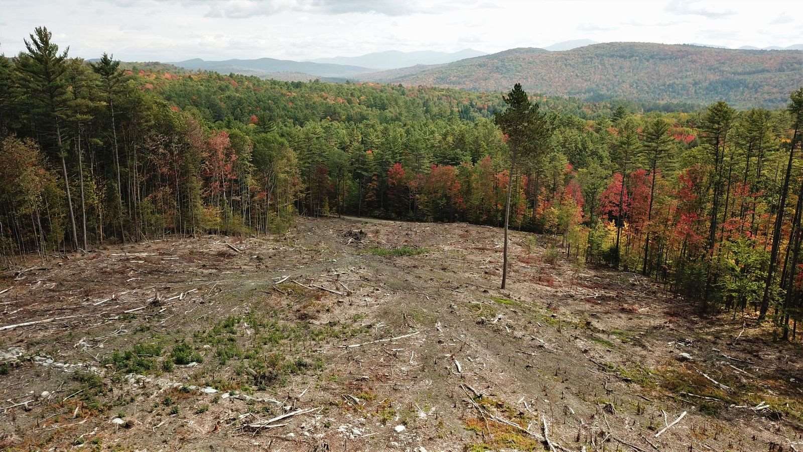 Lot 2 Perch Pond Road Lisbon, NH 03585 - Photo 5 of 12
