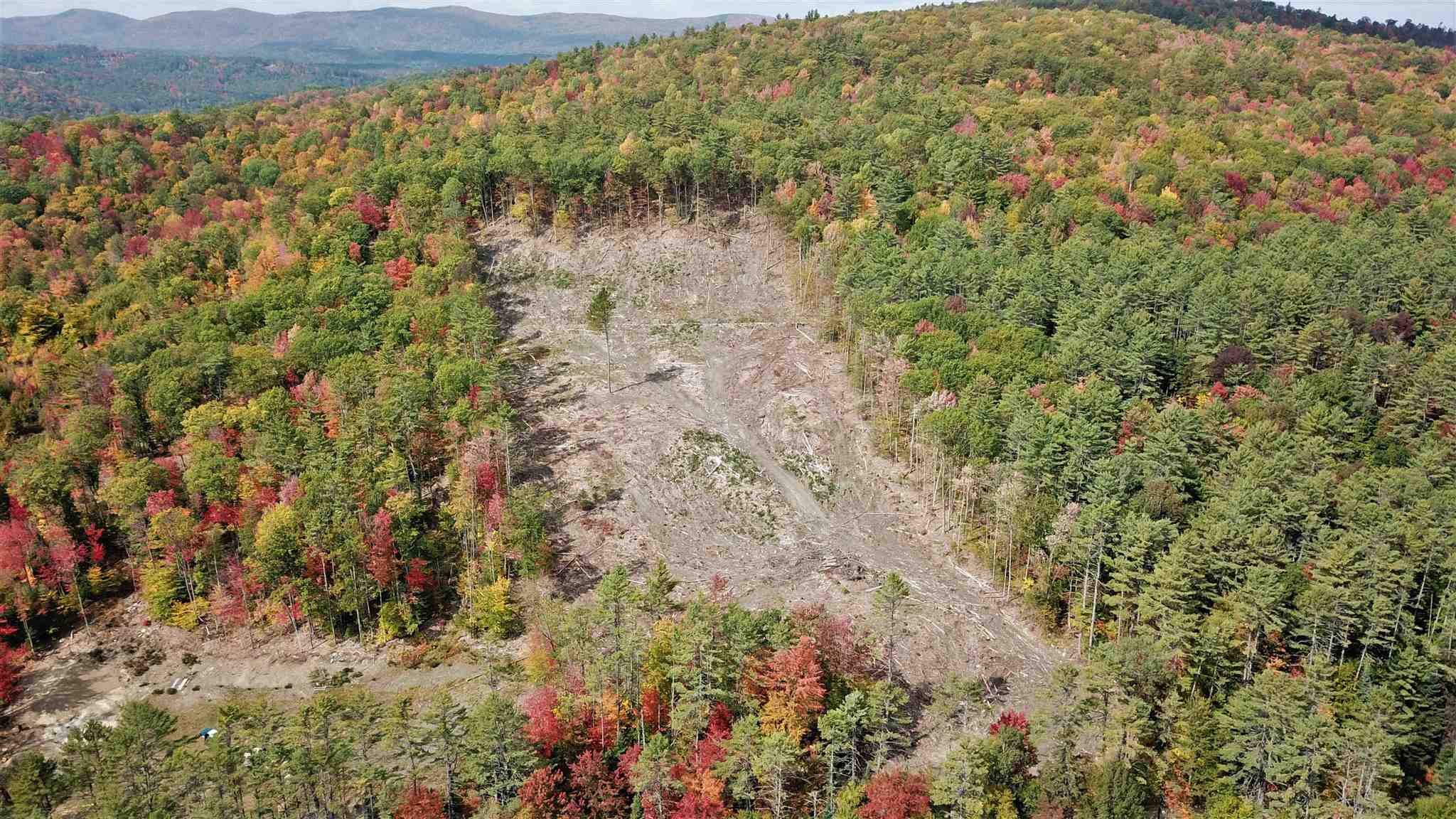 Lot 2 Perch Pond Road Lisbon, NH 03585 - Photo 6 of 12
