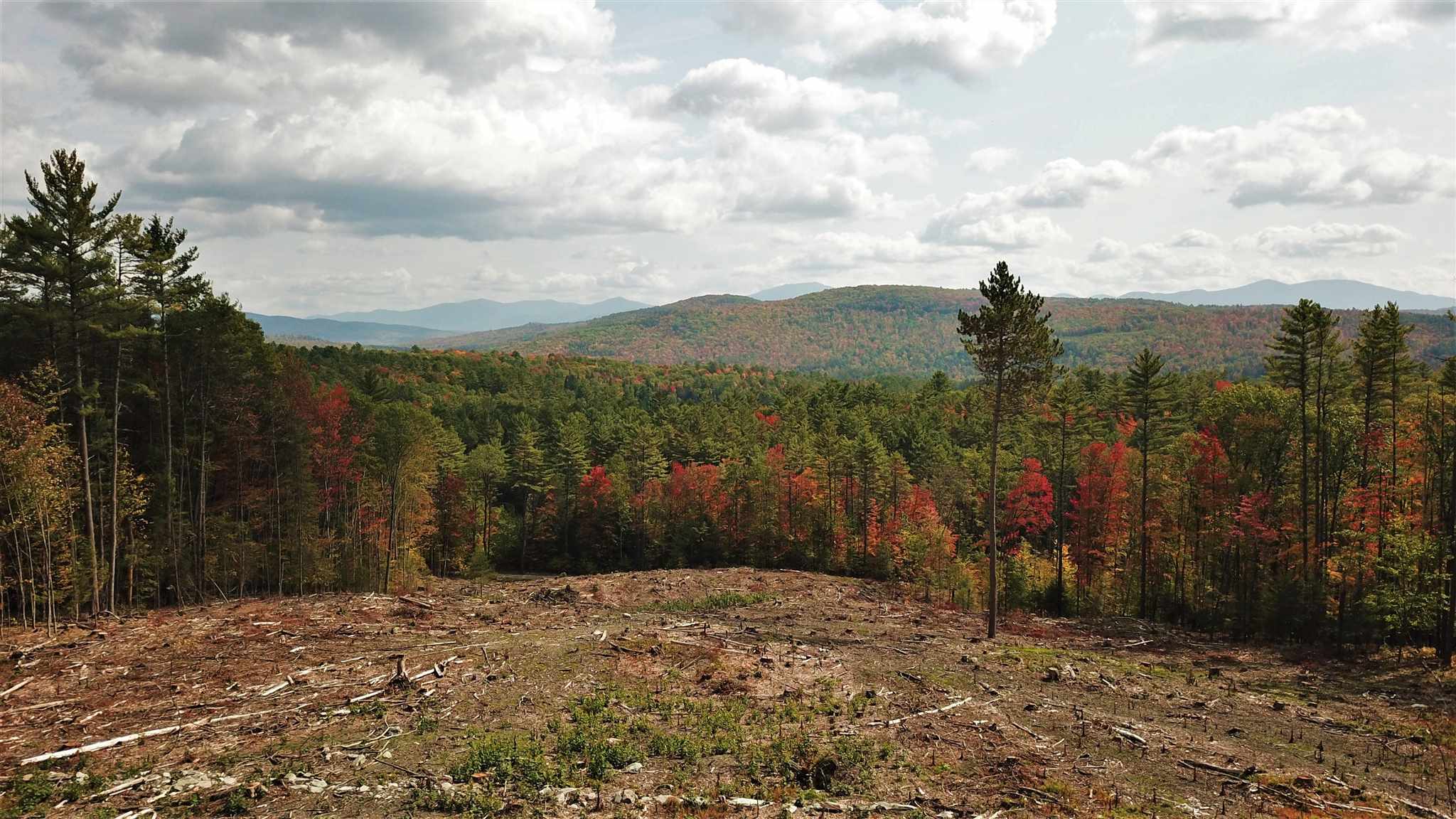 Lot 2 Perch Pond Road Lisbon, NH 03585 - Photo 10 of 12