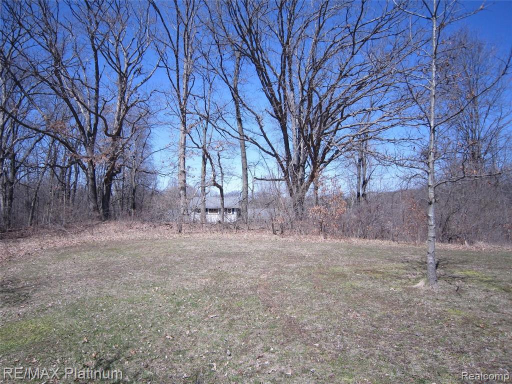 Parcel E West Lange Road Fowlerville, MI 48836 - Photo 2 of 9