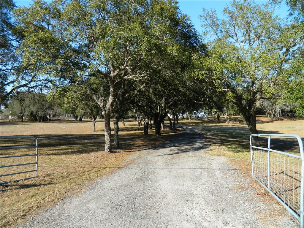 9029 Orchard Way Spring Hill, FL 34608 - Photo 1 of 1 Gallery Image 1