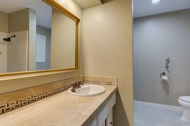 a bathroom with a sink and a toilet
