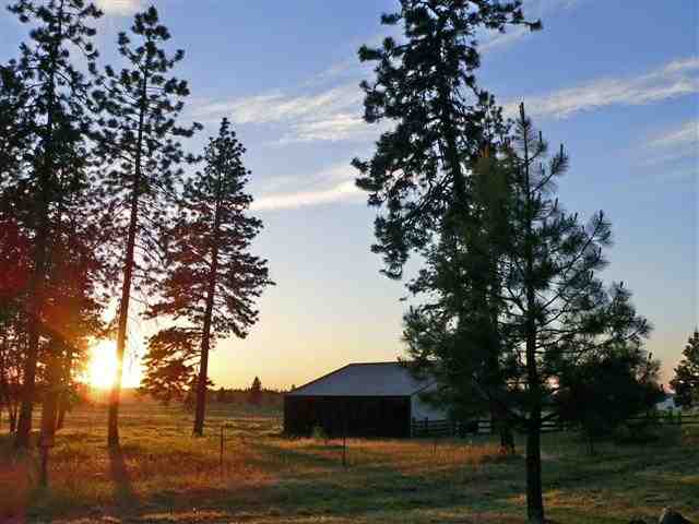 2516 West Taylor Road Spokane, WA 99224 - Photo 7 of 7