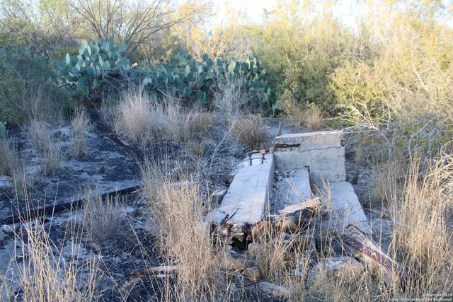 a view of a back yard of the house