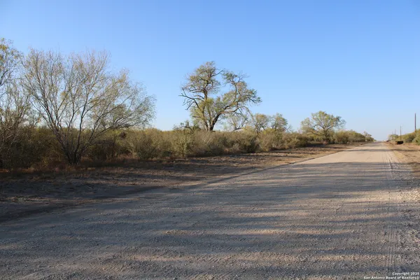 a view of a dry yard with trees