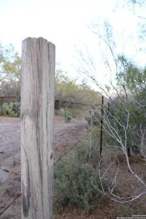 a view of a backyard of the house