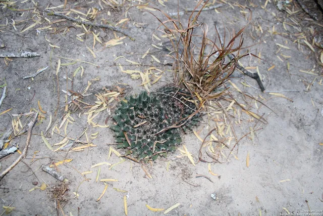 a view of lake with a tree in background