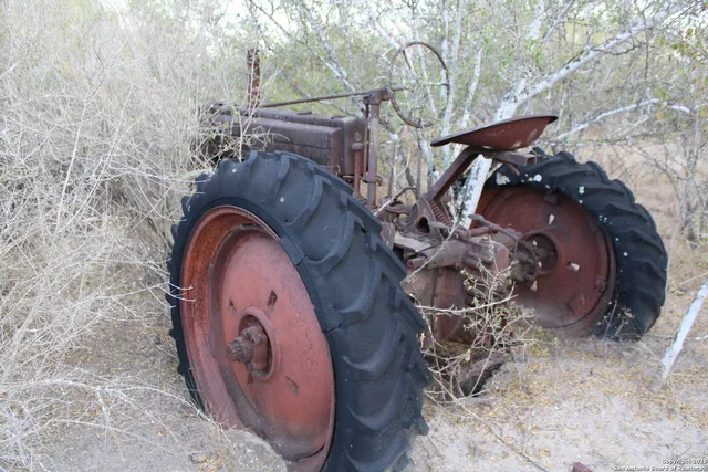 a view of a dry yard with trees