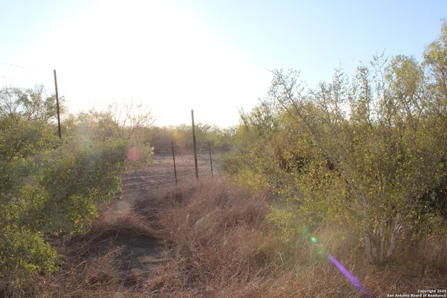 a backyard of a house with lots of green space and a fountain