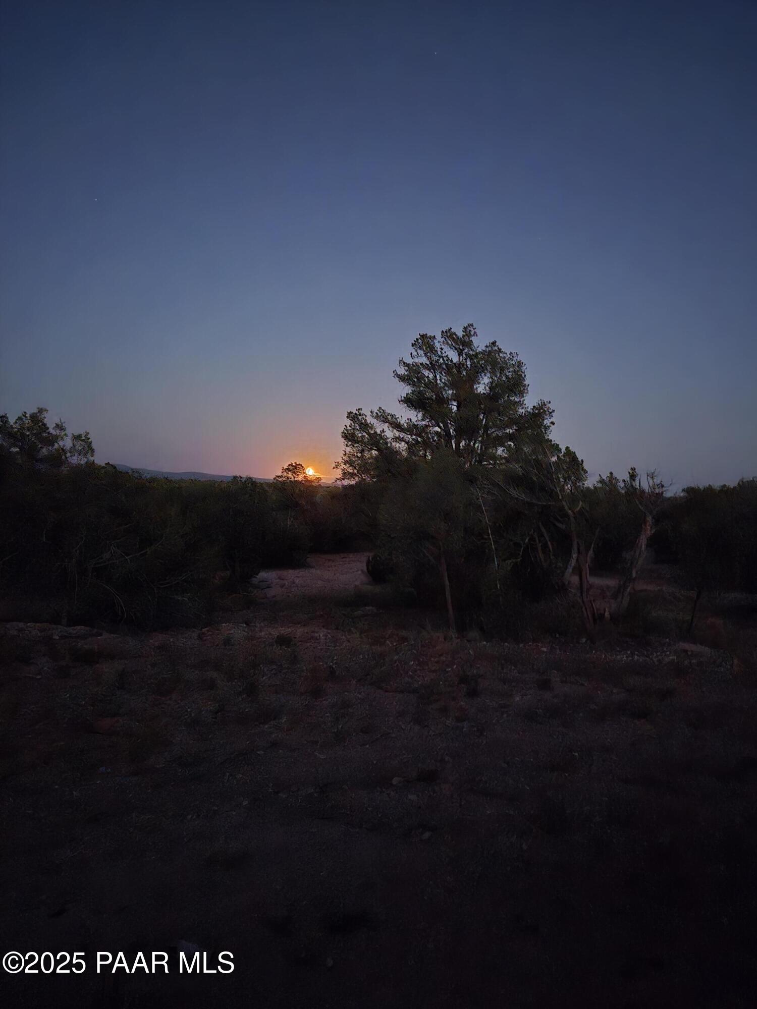 1416- North Relax Road Seligman, AZ 86337 - Photo 11 of 13 a view of outdoor space and yard
