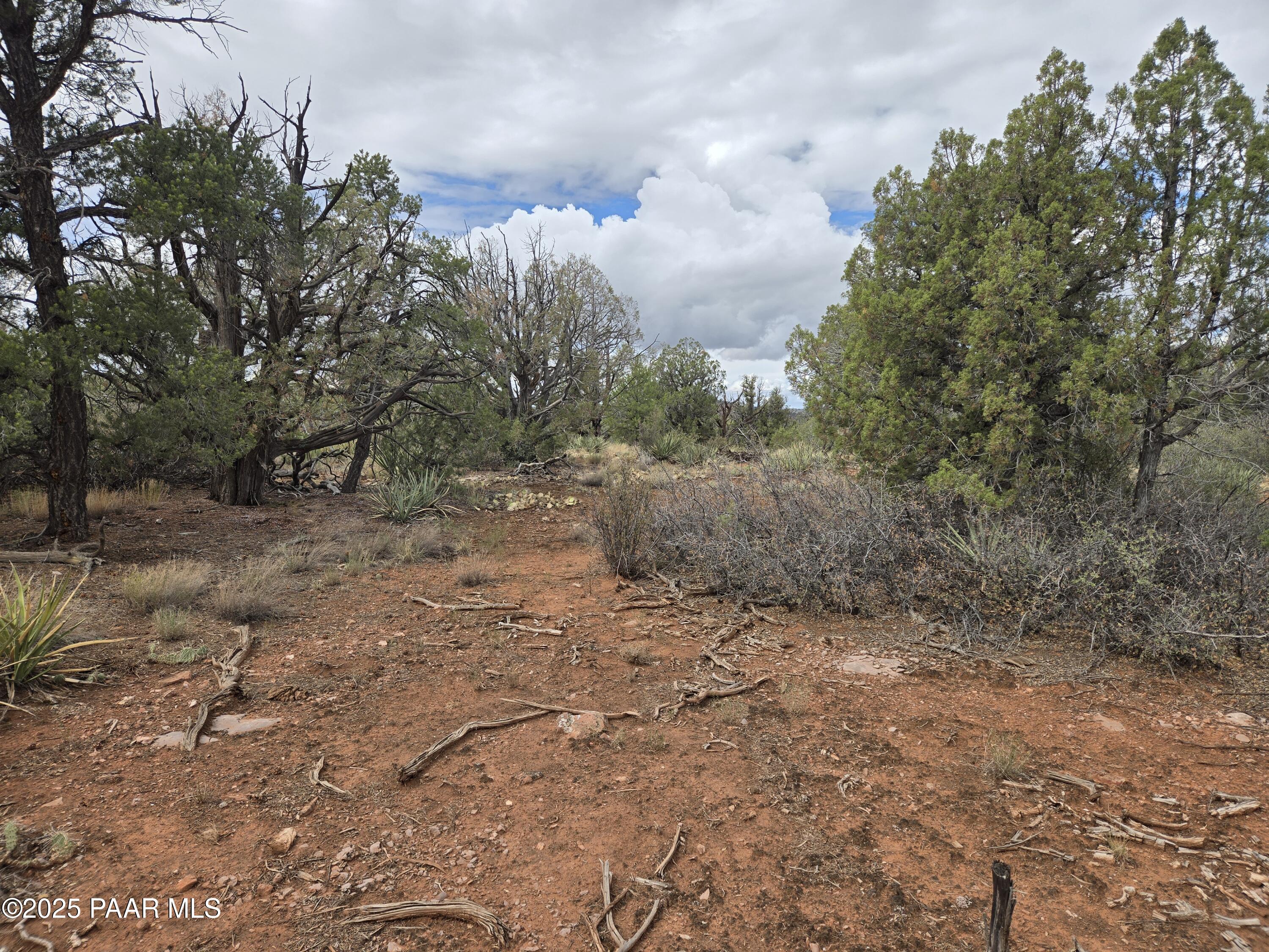 1416- North Relax Road Seligman, AZ 86337 - Photo 7 of 13 a view of a dry yard with trees and stairs