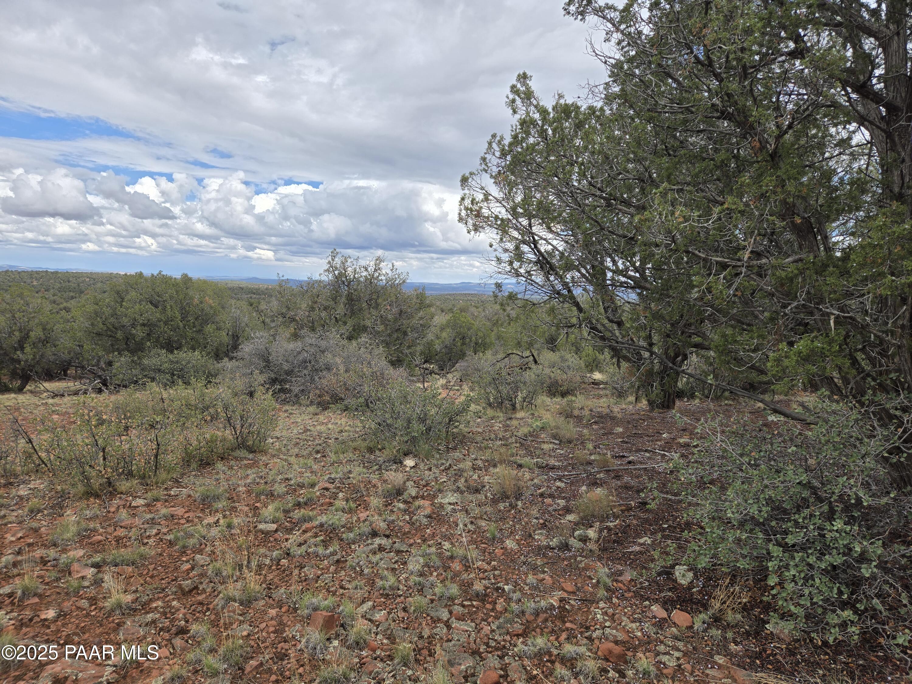 1416- North Relax Road Seligman, AZ 86337 - Photo 9 of 13 a view of a yard