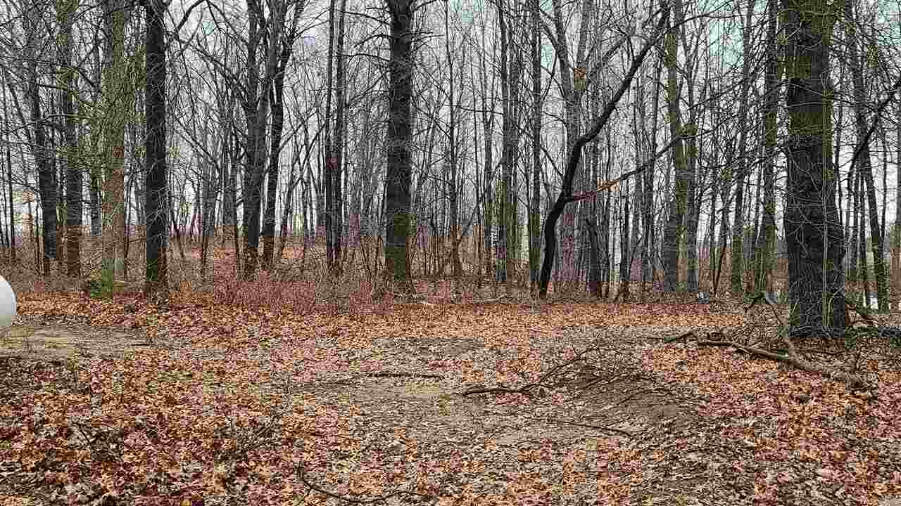 12600 Niblok Road Chesaning, MI 48616 - Photo 39 of 41