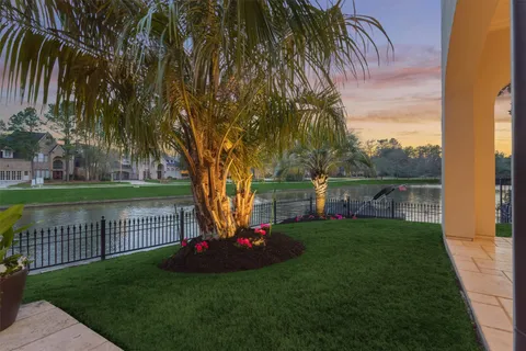 a view of a garden with plants and large trees