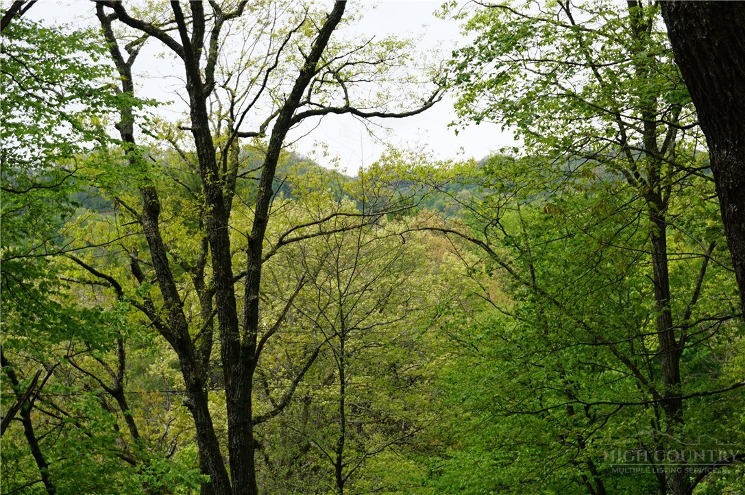 557 White Pine Road Newland, NC 28657 - Photo 24 of 41 a view of mountain view