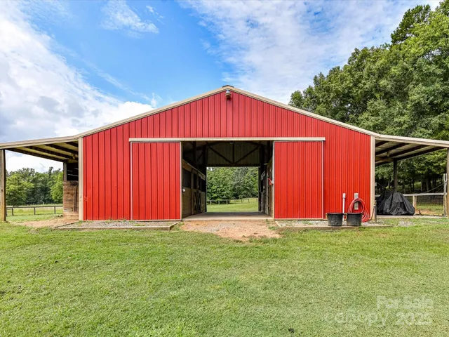 a view of a backyard with large trees and plants