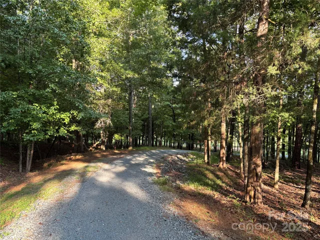 a view of a field with trees in the background