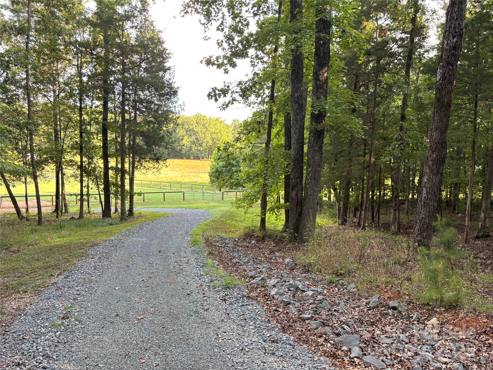 0 Maggie Robinson Road Waxhaw, NC 28173 - Photo 14 of 42 a view of a forest with trees