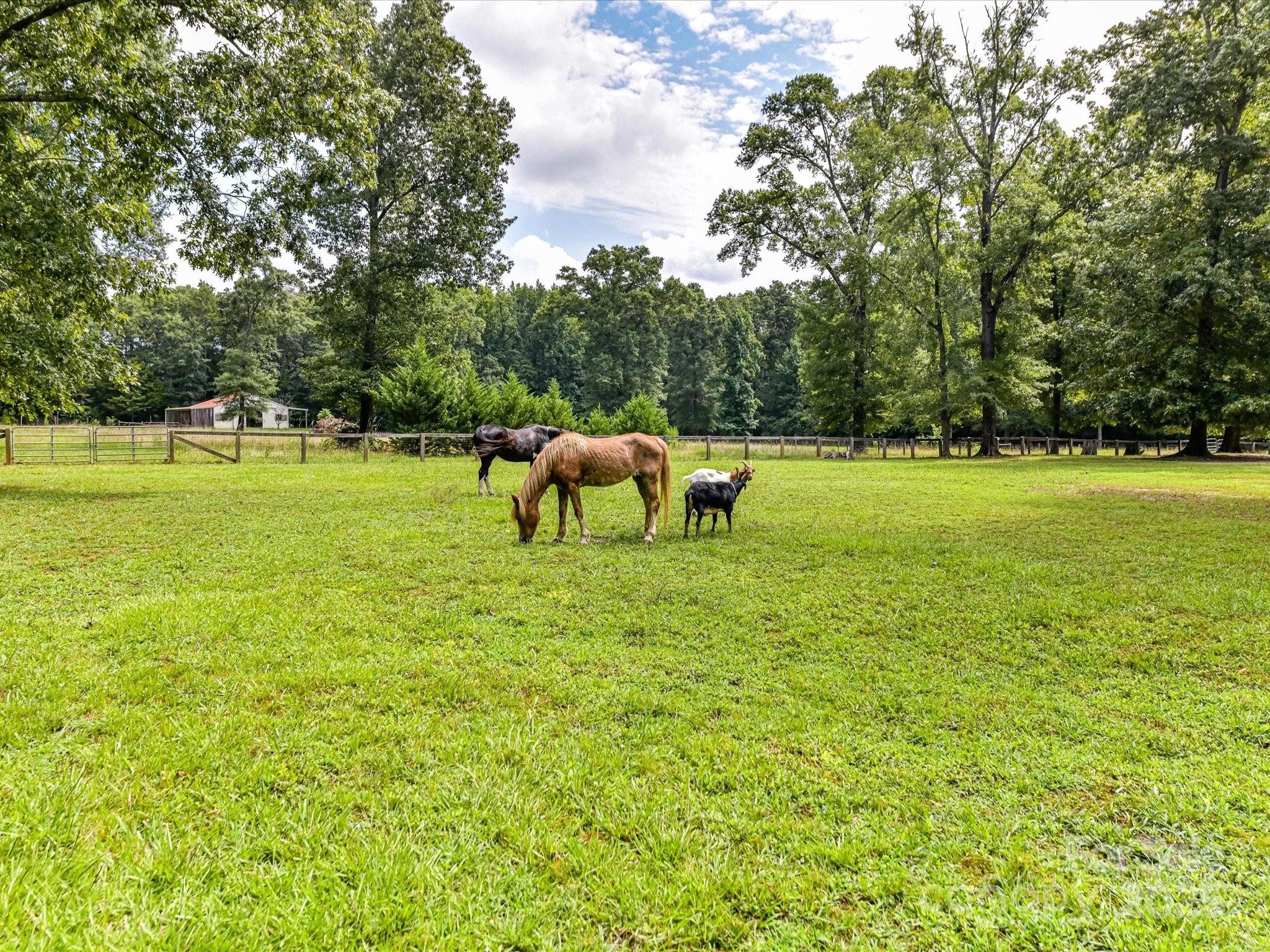 0 Maggie Robinson Road Waxhaw, NC 28173 - Photo 20 of 42 a view of an outdoor space and yard