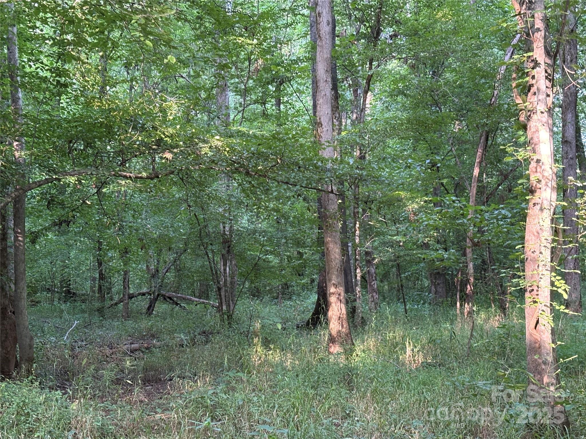 0 Maggie Robinson Road Waxhaw, NC 28173 - Photo 25 of 42 a backyard of a house with lots of green space and trees
