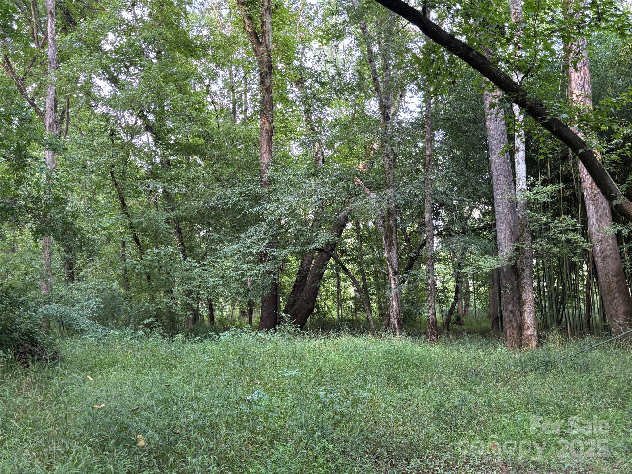 0 Maggie Robinson Road Waxhaw, NC 28173 - Photo 26 of 42 a view of a lush green forest