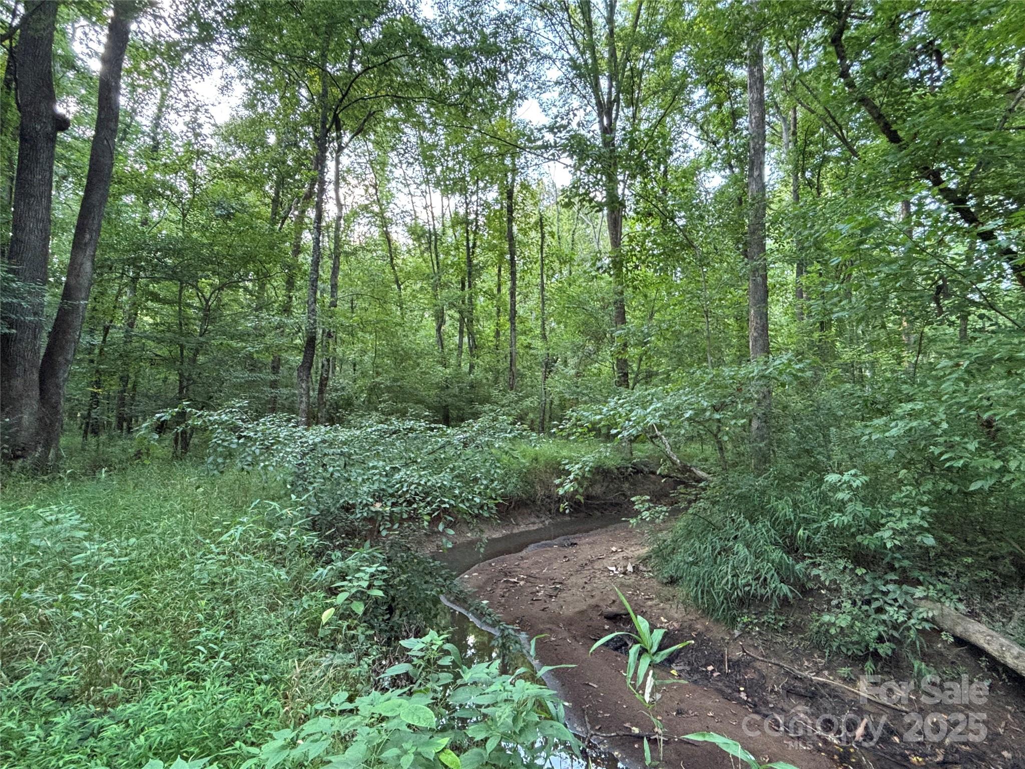 0 Maggie Robinson Road Waxhaw, NC 28173 - Photo 27 of 42 a view of a lush green forest