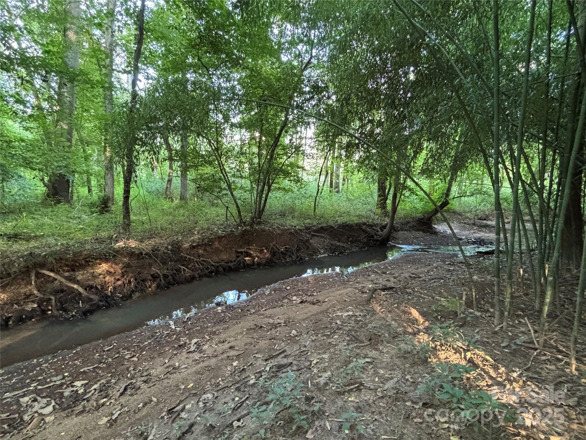 0 Maggie Robinson Road Waxhaw, NC 28173 - Photo 28 of 42 a view of a forest with trees