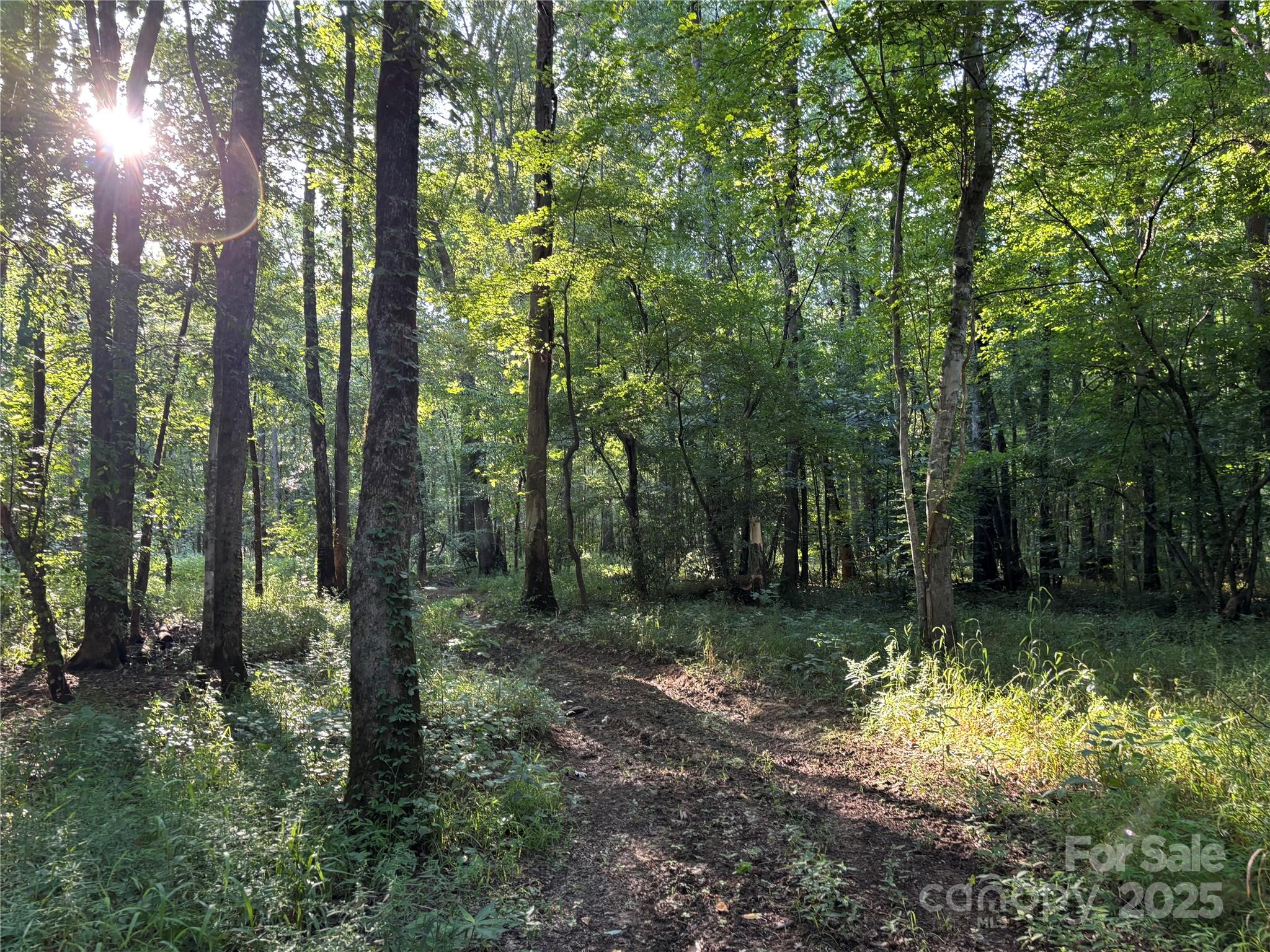 0 Maggie Robinson Road Waxhaw, NC 28173 - Photo 3 of 42 a backyard of a house with lots of green space