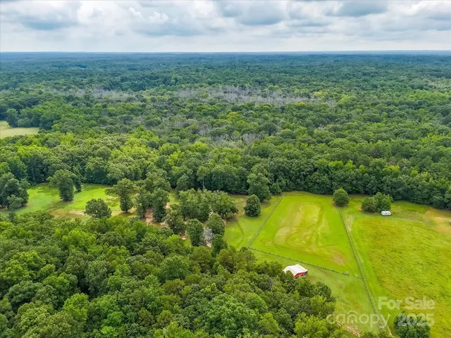 an aerial view of residential houses with outdoor space and trees