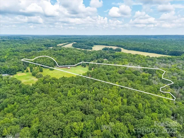 a view of a field with plants in front of it