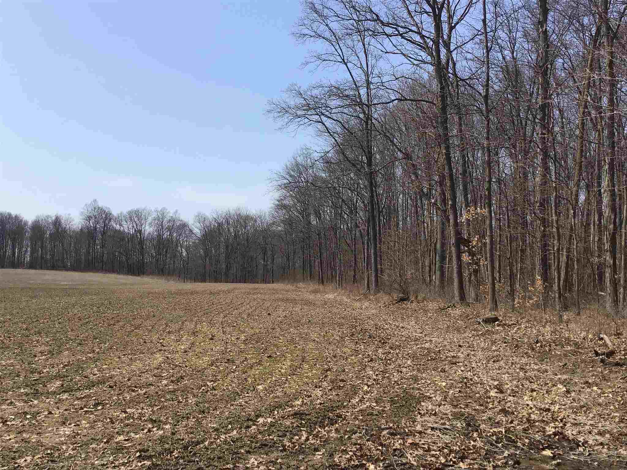 63 County Road Butler, IN 46721 - Photo 2 of 8