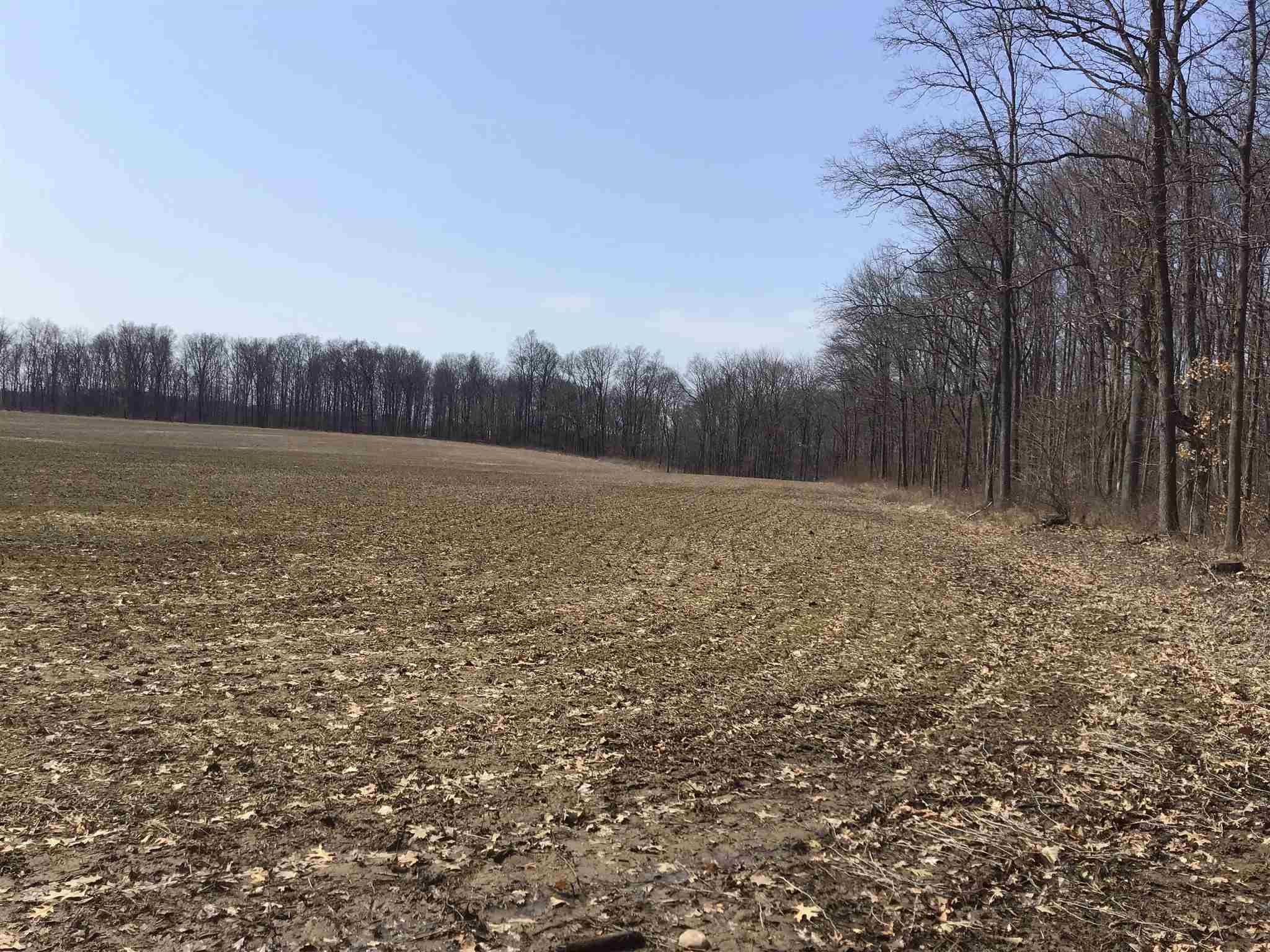 63 County Road Butler, IN 46721 - Photo 3 of 8