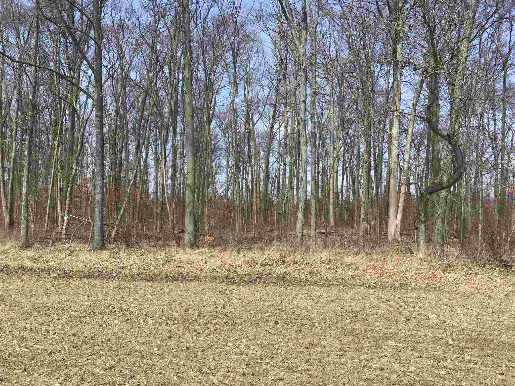 63 County Road Butler, IN 46721 - Photo 5 of 8