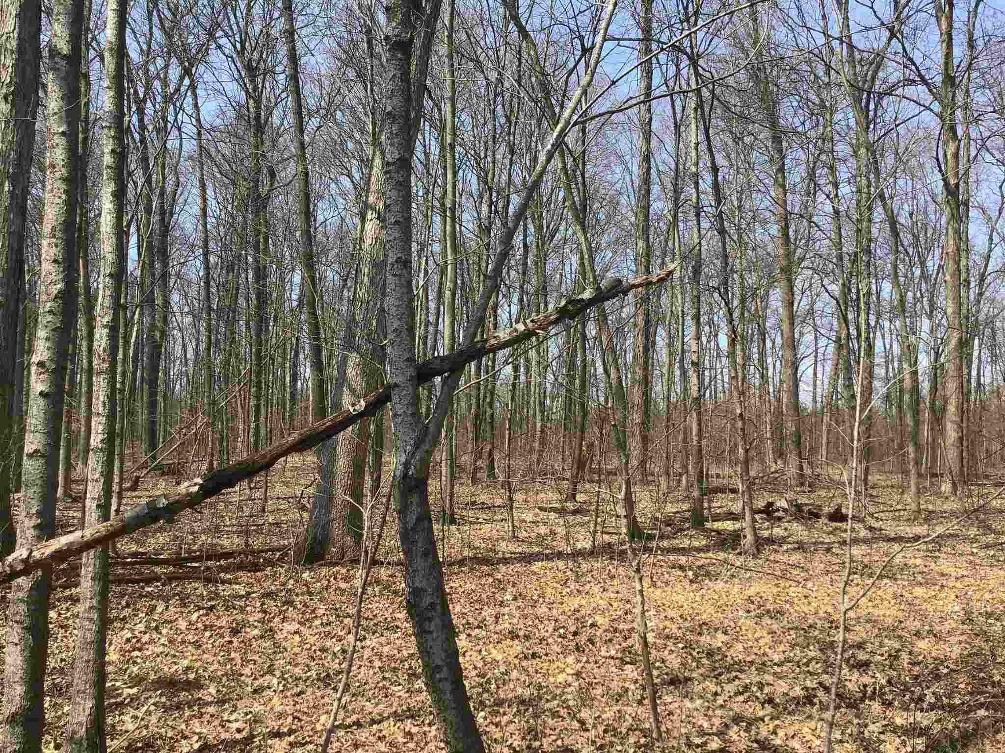 63 County Road Butler, IN 46721 - Photo 6 of 8