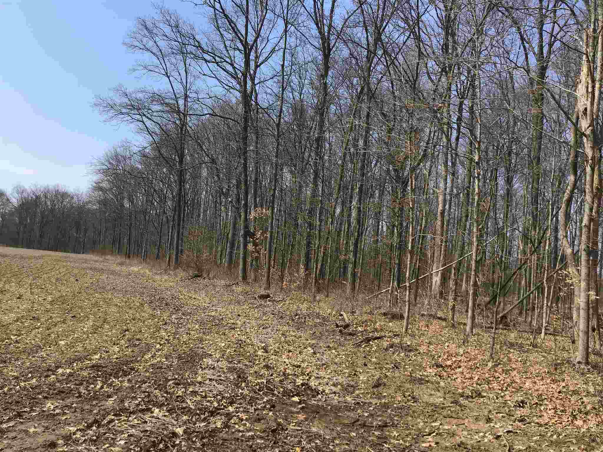 63 County Road Butler, IN 46721 - Photo 7 of 8