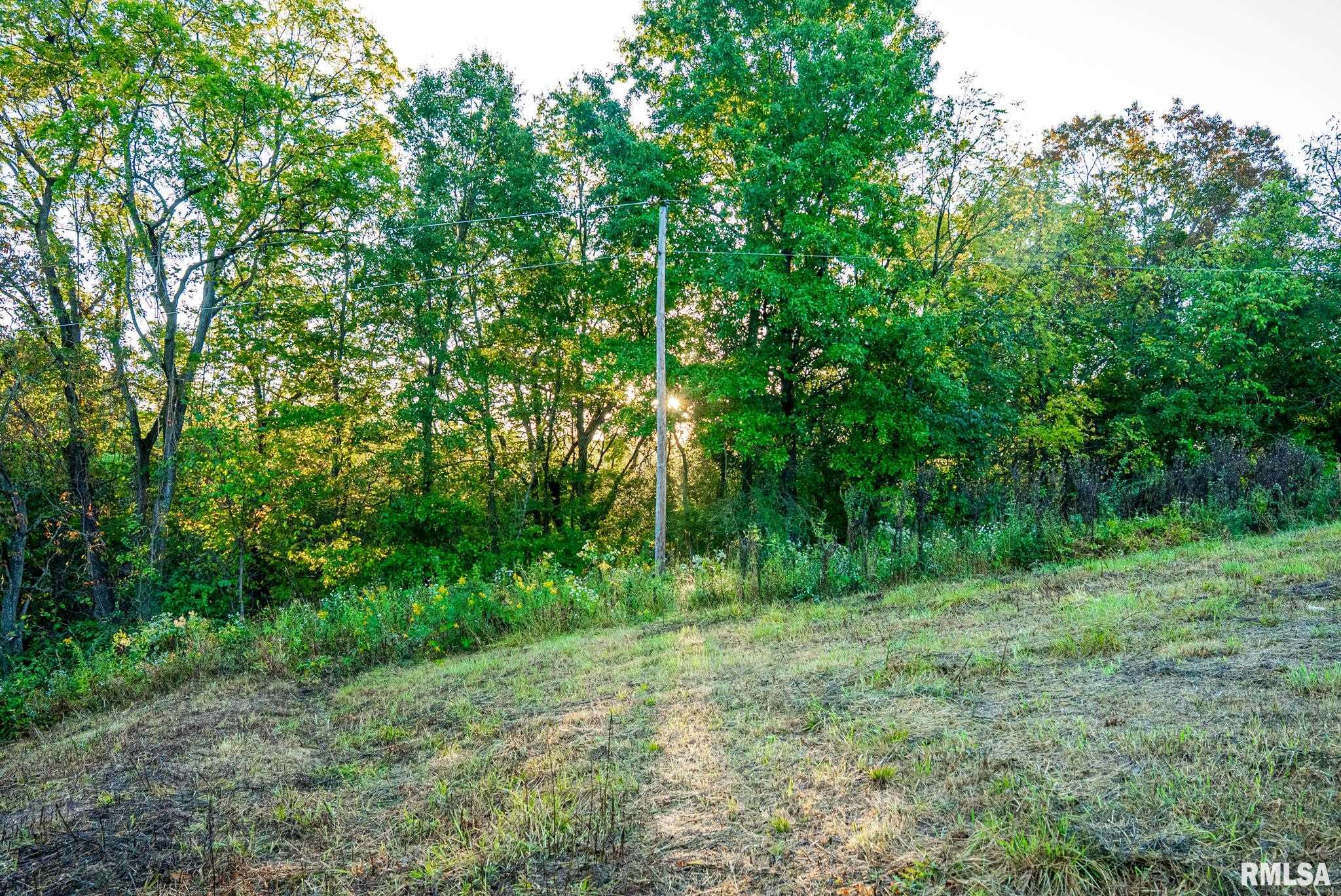 532 North 600 E Road East Herrick, IL 62431 - Photo 53 of 70