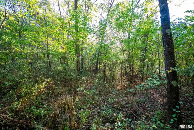 $307,500 | 532 North 600 E Road East, Herrick, IL 62431