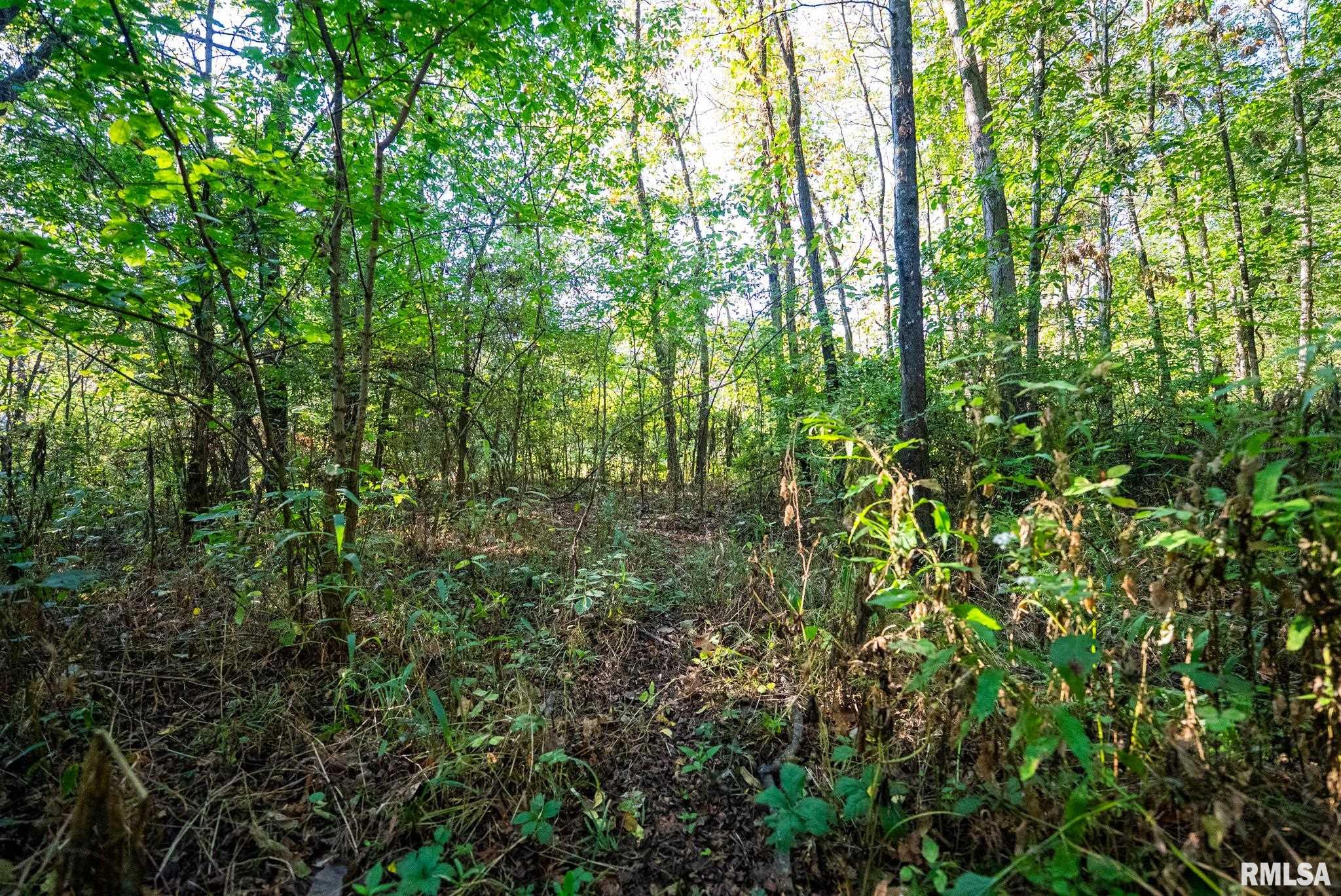 532 North 600 E Road East Herrick, IL 62431 - Photo 58 of 70