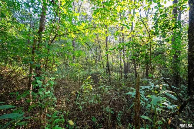 $307,500 | 532 North 600 E Road East, Herrick, IL 62431