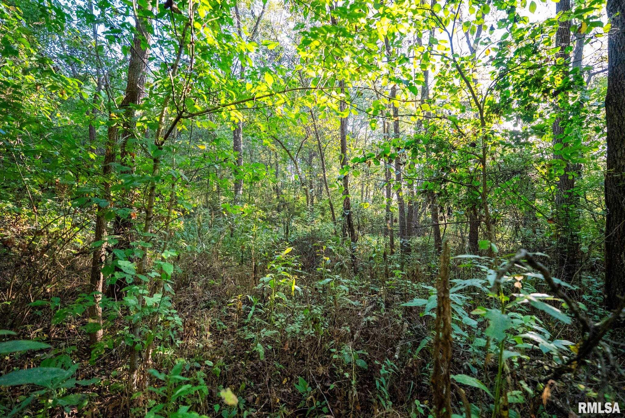 532 North 600 E Road East Herrick, IL 62431 - Photo 59 of 70