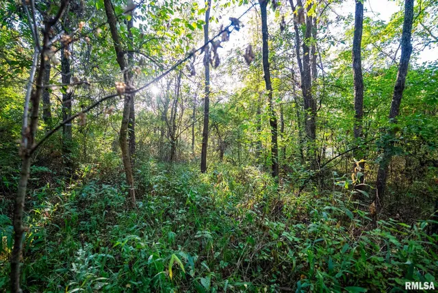 $307,500 | 532 North 600 E Road East, Herrick, IL 62431