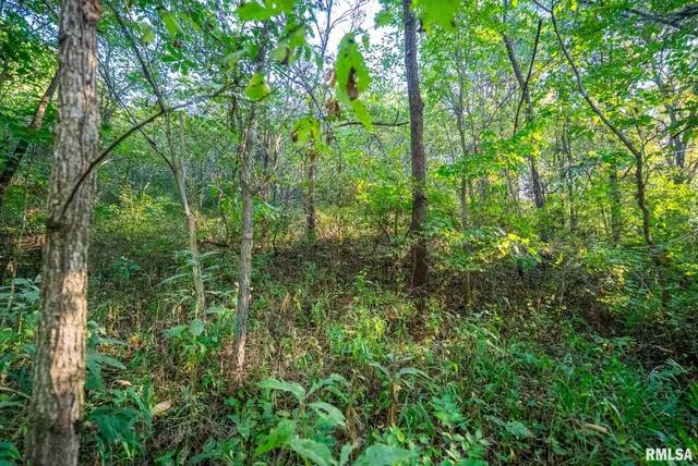 $307,500 | 532 North 600 E Road East, Herrick, IL 62431