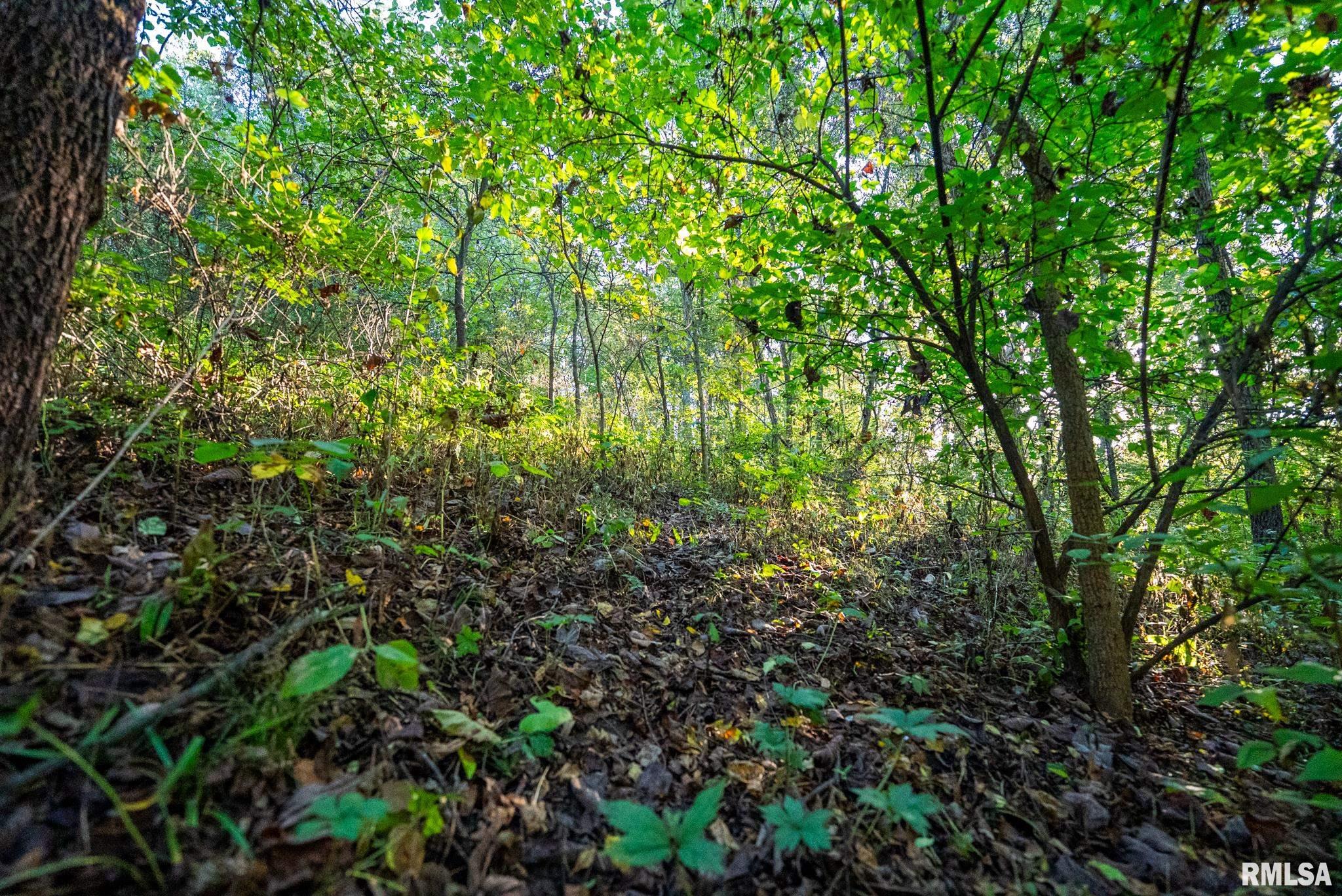 532 North 600 E Road East Herrick, IL 62431 - Photo 62 of 70