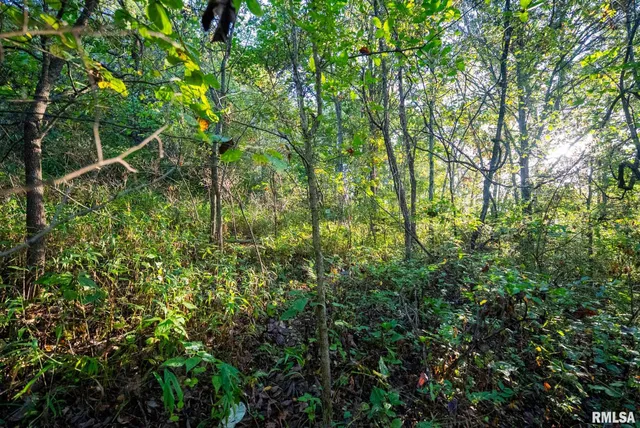 $307,500 | 532 North 600 E Road East, Herrick, IL 62431