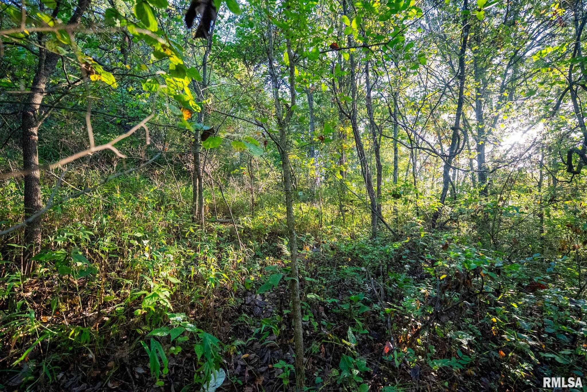 532 North 600 E Road East Herrick, IL 62431 - Photo 63 of 70