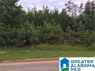4045 Overlook Way, Unit 446 Trussville, AL 35173 - Photo 1 of 13
