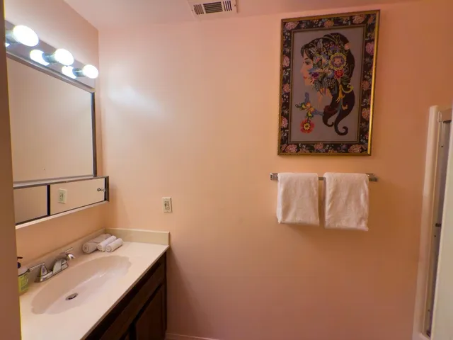 a bathroom with a sink and mirror