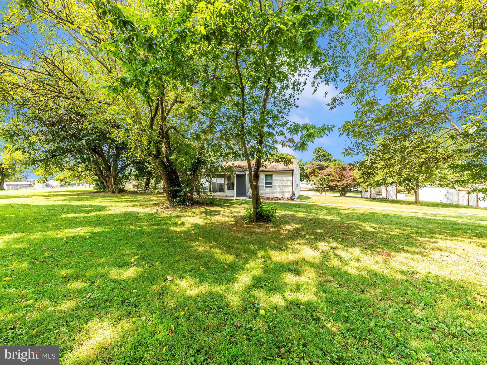 14021 Broadfording Church Road Hagerstown, MD 21740 - Photo 38 of 46 a view of garden with trees