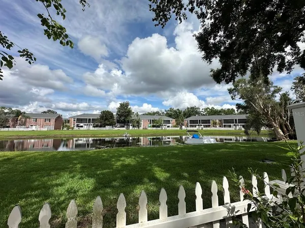 a view of a park with large trees